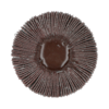 directlinkimage639189519285415982